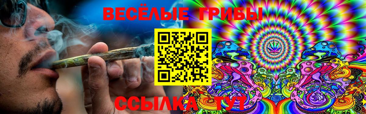 Коркино  Псилоцибиновые грибы MAGIC MUSHROOMS  Вход с VPN  Псилоцибиновые грибы MAGIC MUSHROOMS 
